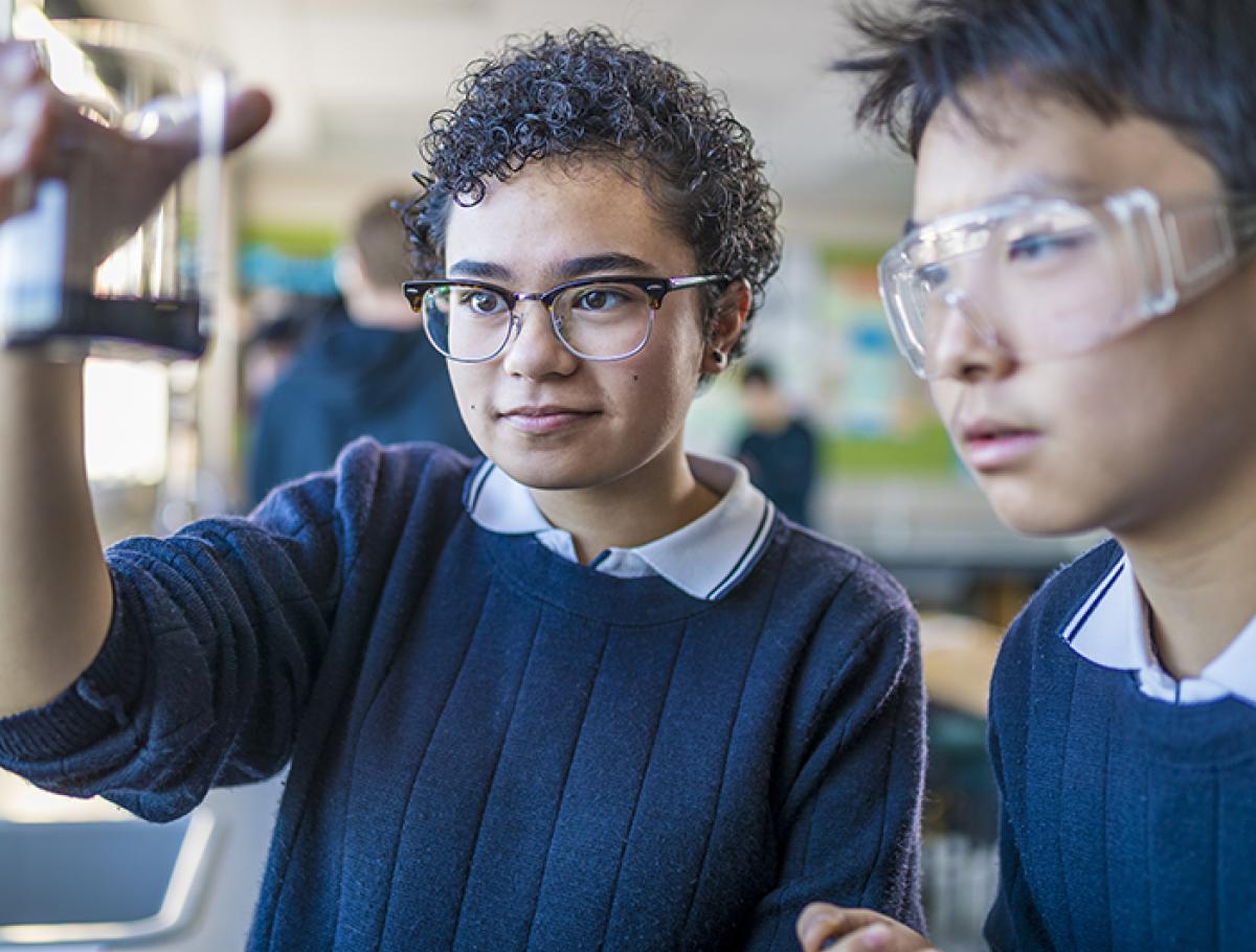 全面解析新西兰小学留学申请一年：费用、流程与注意事项