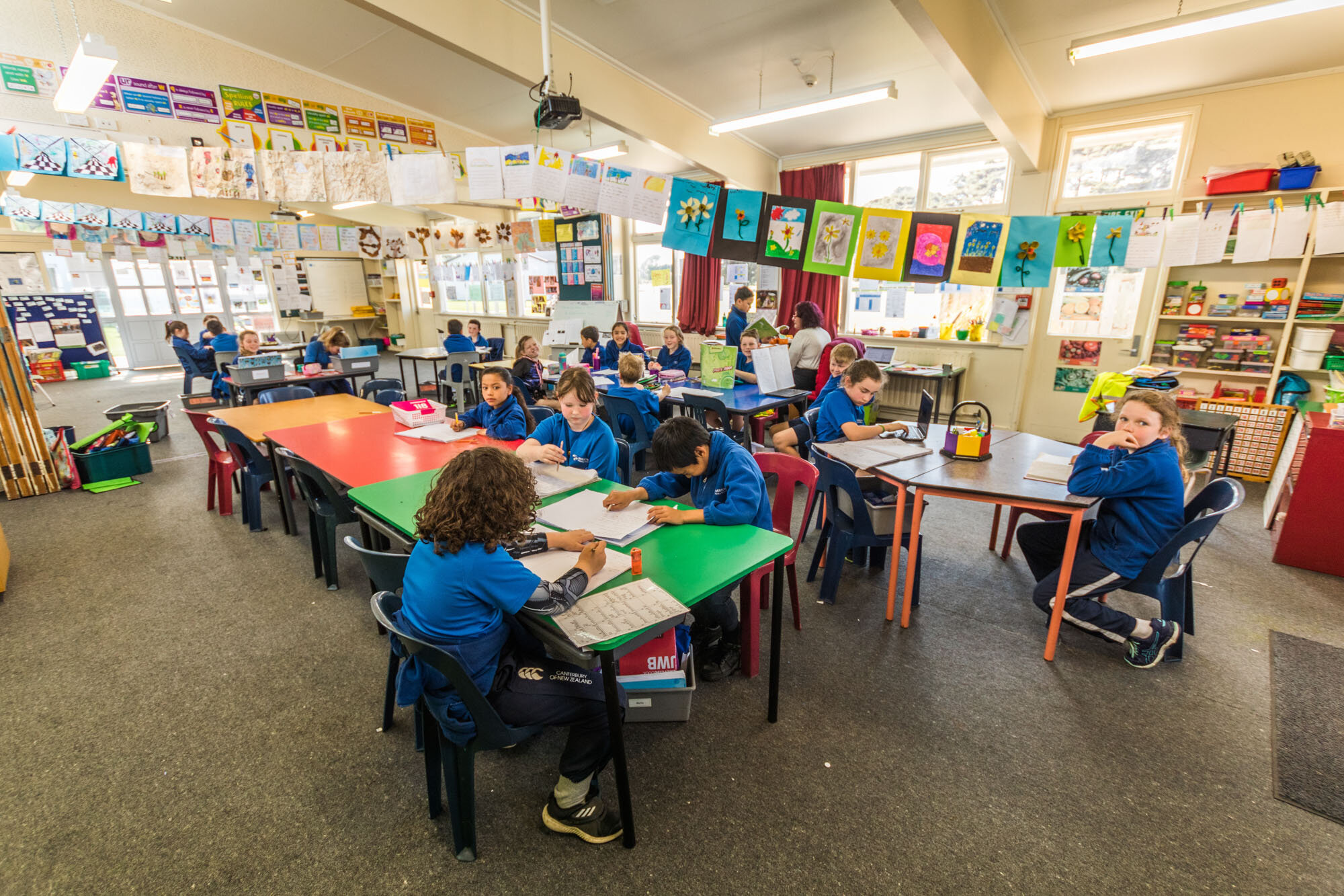 新西兰小学生留学一个月：深度体验异国文化与教育