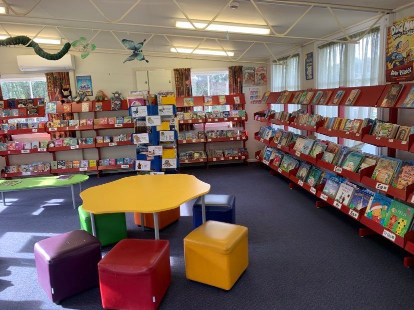 新西兰小学生微留学全解析:开启孩子国际化教育的黄金跳板