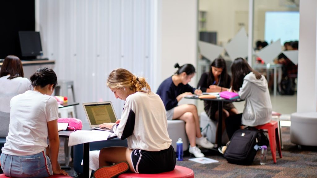 新西兰小学留学:5大潜在弊端与避坑指南